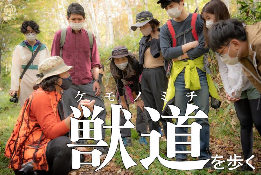 獣道を歩く